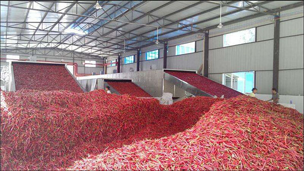 辣椒烘干機.jpg